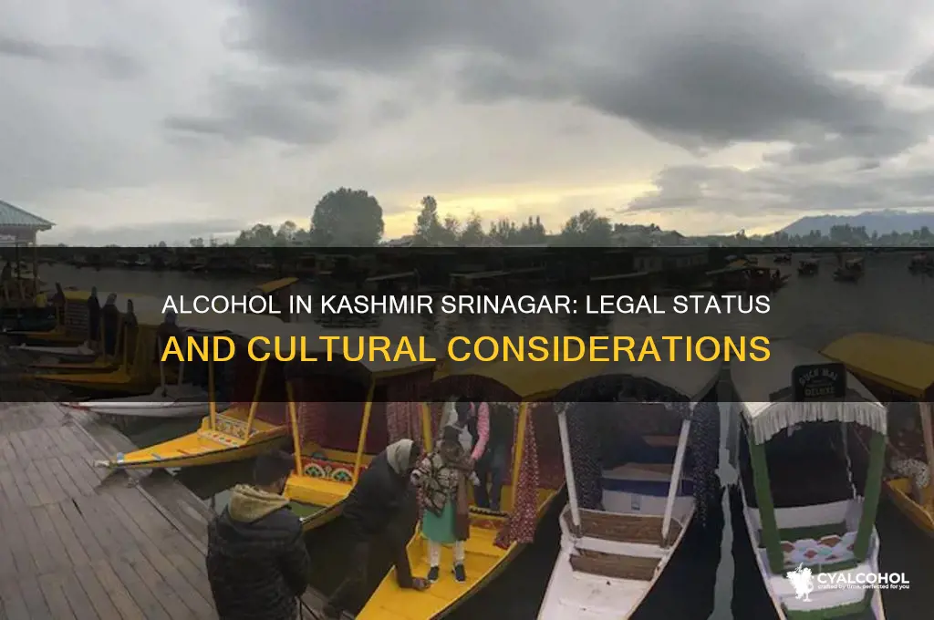 is alcohol allowed in kashmir srinagar