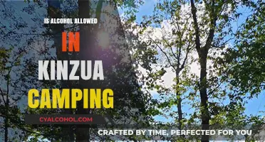 Can You Bring Alcohol to Kinzua Campground? Rules Explained