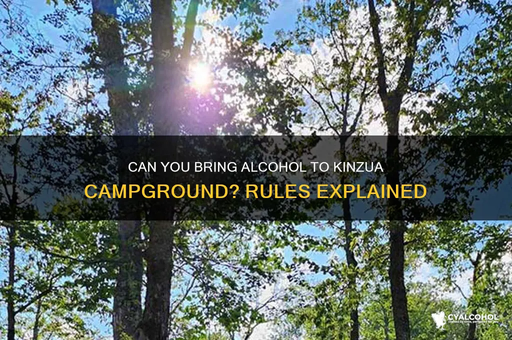 is alcohol allowed in kinzua camping