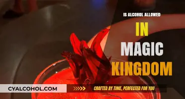 Can You Bring Alcohol into Magic Kingdom? Disney Rules Explained