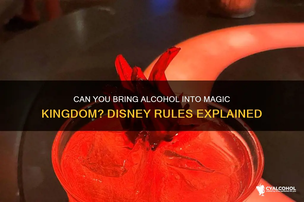 is alcohol allowed in magic kingdom