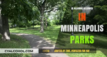 Can You Drink Alcohol in Minneapolis Parks? Rules Explained