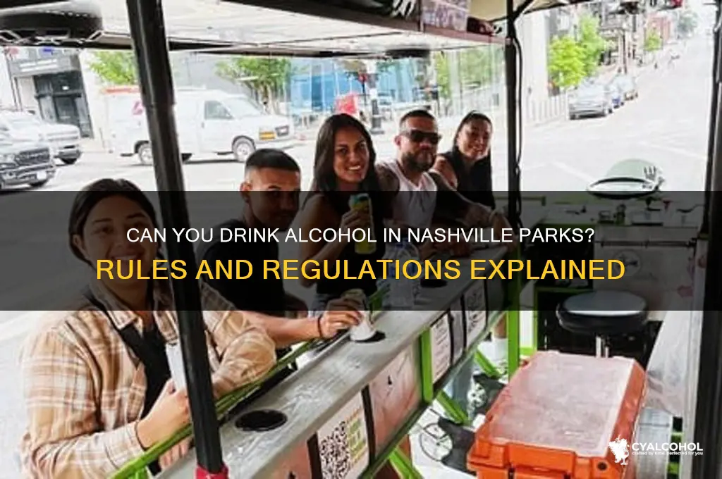is alcohol allowed in nashville parks