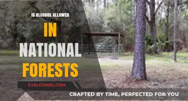 Can You Drink Alcohol in National Forests? Rules and Regulations Explained