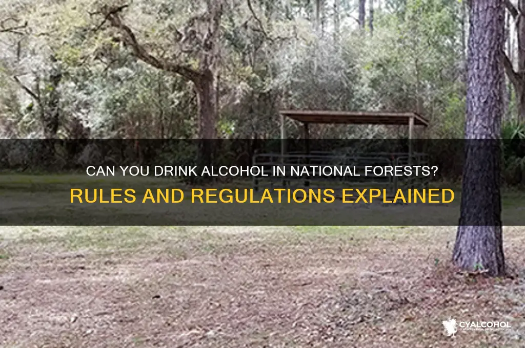 is alcohol allowed in national forests