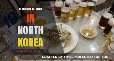 Exploring North Korea's Alcohol Policies: What's Permitted and Prohibited?