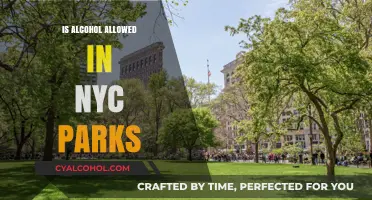 Can You Drink Alcohol in NYC Parks? Rules and Regulations Explained