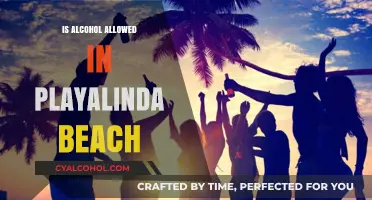 Can You Drink Alcohol at Playalinda Beach? Rules and Regulations