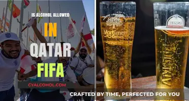 Alcohol in Qatar FIFA: Rules, Restrictions, and What Fans Need to Know