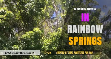 Can You Bring Alcohol to Rainbow Springs? Rules and Guidelines Explained