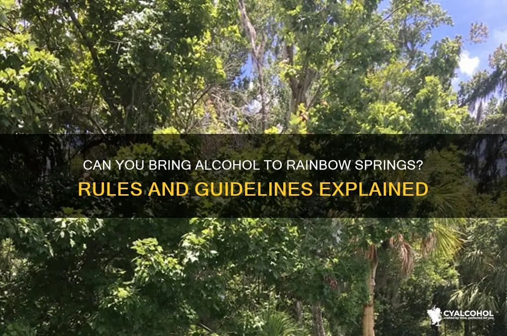is alcohol allowed in rainbow springs