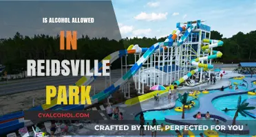Alcohol Policy in Reidsville Park: What You Need to Know