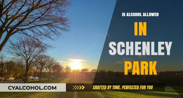 Can You Drink Alcohol in Schenley Park? Rules and Regulations Explained