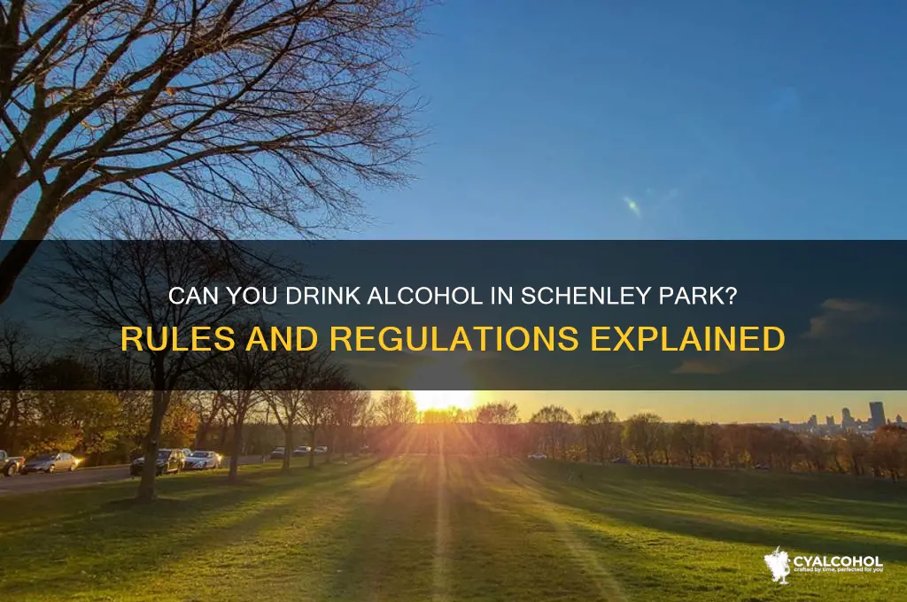 is alcohol allowed in schenley park