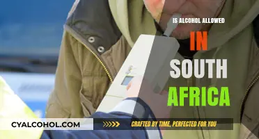 Is Alcohol Allowed in South Africa? Legal Insights and Regulations