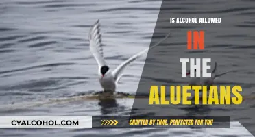 Alcohol Regulations in the Aleutians: What You Need to Know