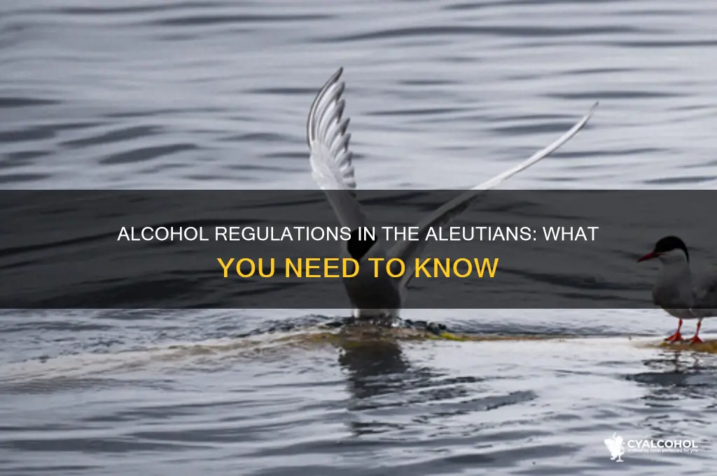 is alcohol allowed in the aluetians
