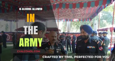 Alcohol in the Army: Policies, Restrictions, and Military Regulations Explained