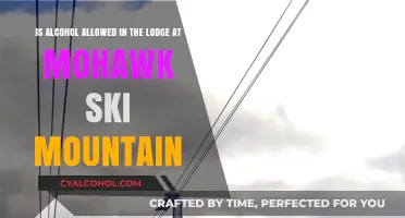 Alcohol Policies at Mohawk Ski Mountain Lodge