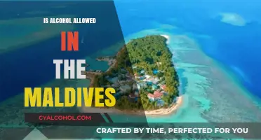 Alcohol in the Maldives: Legal, Available, and Tourist-Friendly?