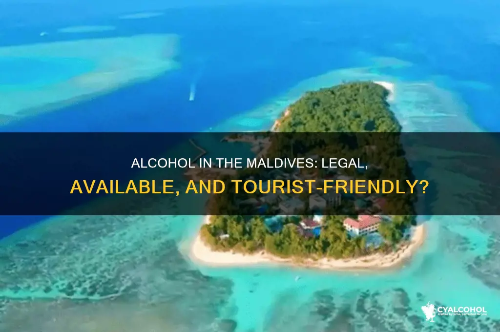 is alcohol allowed in the maldives