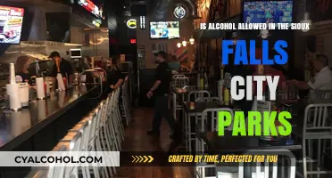 Alcohol in Sioux Falls City Parks: What's Allowed?