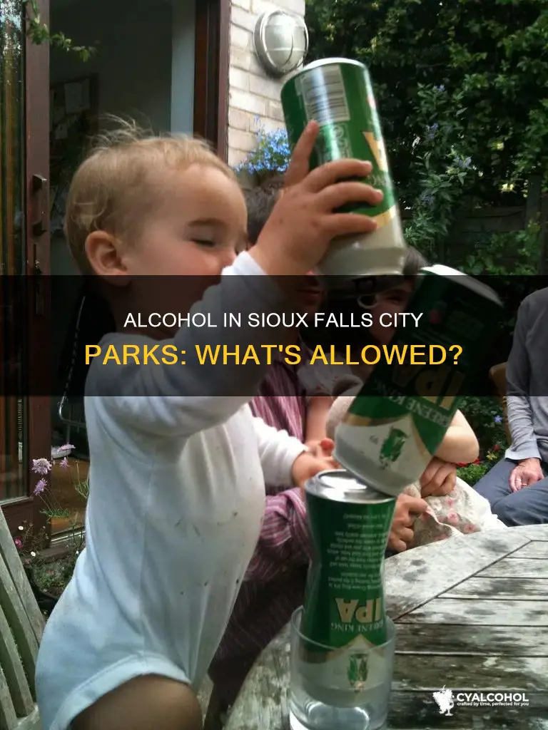 is alcohol allowed in the sioux falls city parks