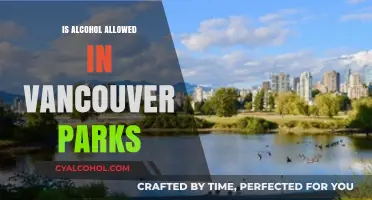 Vancouver Parks Alcohol Policy: What You Need to Know