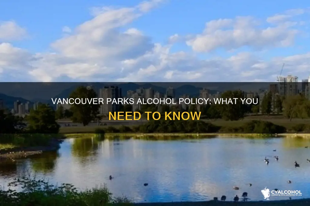is alcohol allowed in vancouver parks