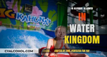 Can You Bring Alcohol to Water Kingdom? Rules and Regulations Explained
