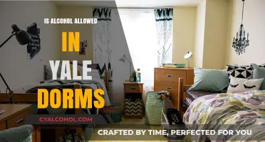 Yale Dorm Alcohol Policy: What’s Allowed and What’s Not?