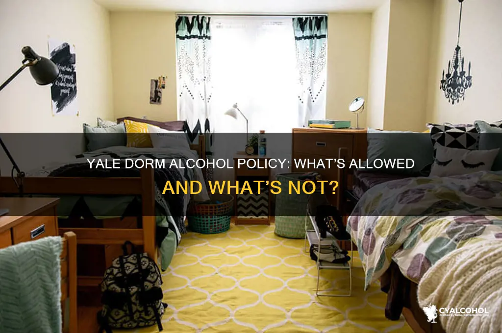 is alcohol allowed in yale dorms