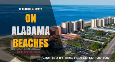 Can You Drink Alcohol on Alabama Beaches? Legal Guidelines Explained