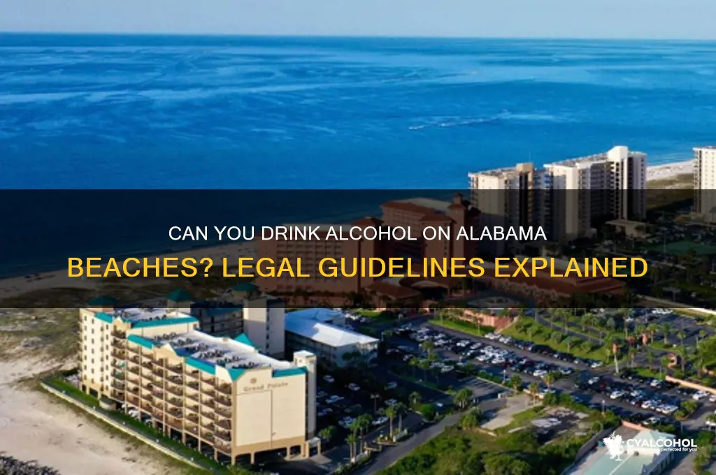 is alcohol allowed on alabama beaches