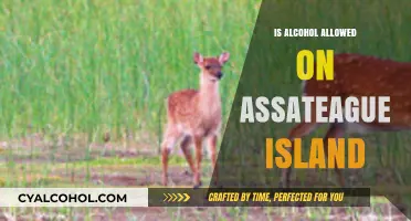 Can You Bring Alcohol to Assateague Island? Rules and Regulations