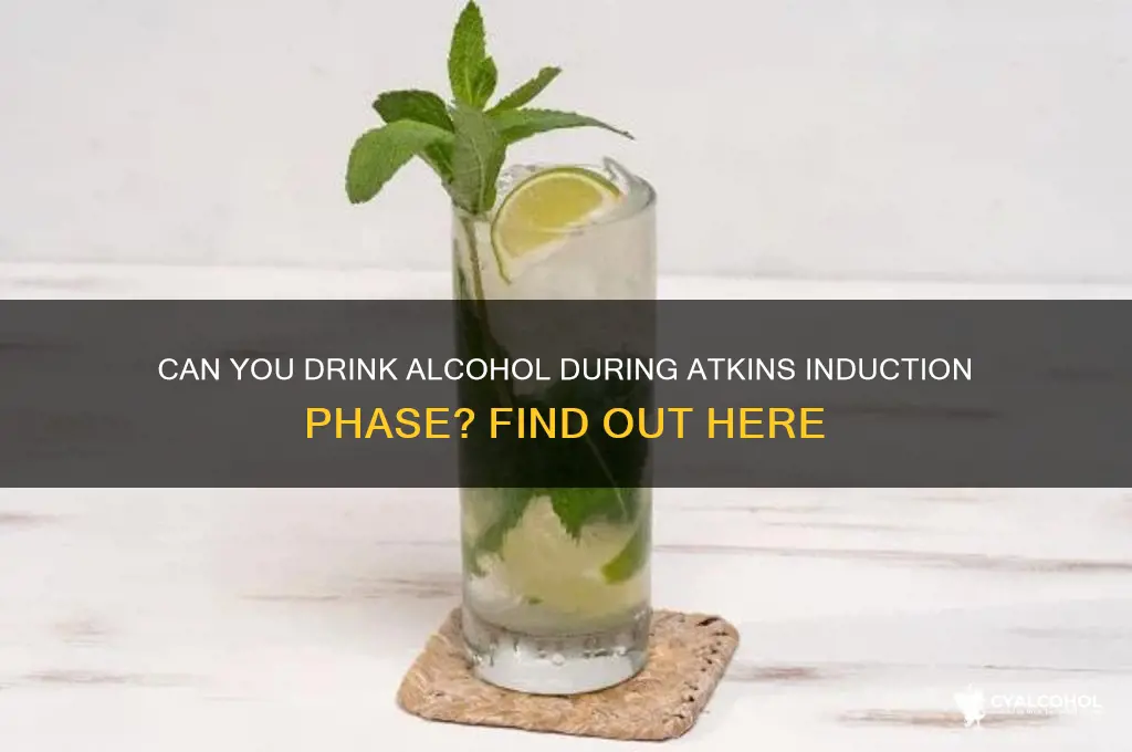 is alcohol allowed on atkins induction