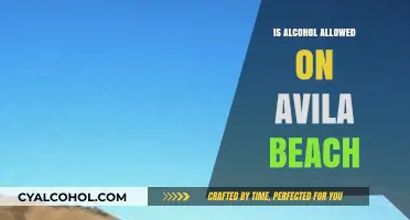 Avila Beach Alcohol Policy: What You Need to Know Before Visiting