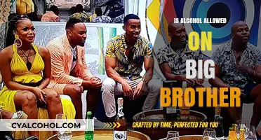 Big Brother's Alcohol Policy: What Houseguests Can and Can't Drink