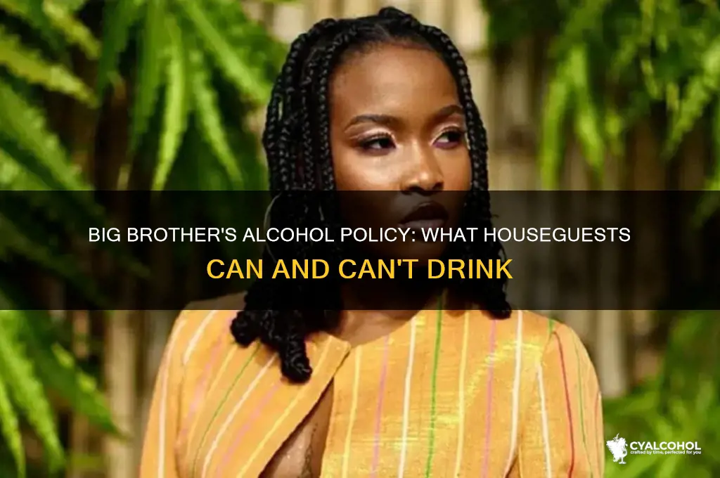 is alcohol allowed on big brother