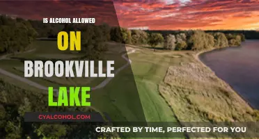 Brookville Lake Alcohol Policy: What You Need to Know