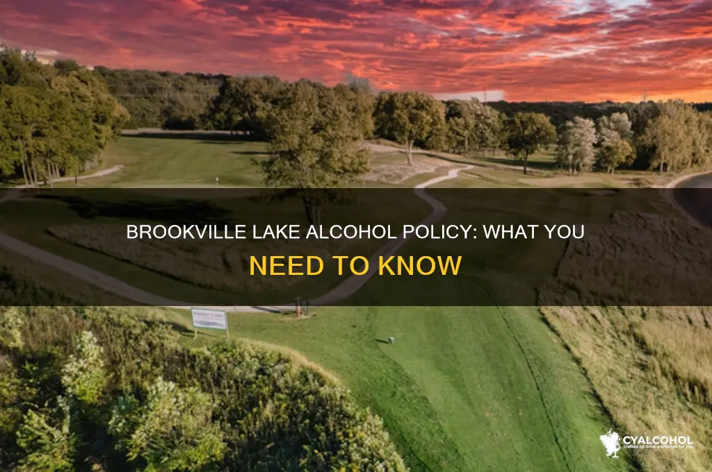 is alcohol allowed on brookville lake