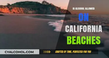 Can You Drink Alcohol on California Beaches? Legal Guidelines Explained