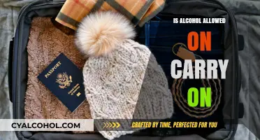 Can You Bring Alcohol in Carry-On Luggage? TSA Rules Explained