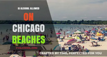 Chicago Beach Rules: Alcohol Permitted or Prohibited? What You Need to Know