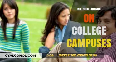 Alcohol on Campus: Policies, Risks, and Student Life Explored