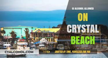 Is Alcohol Allowed on Crystal Beach? Rules and Regulations Explained