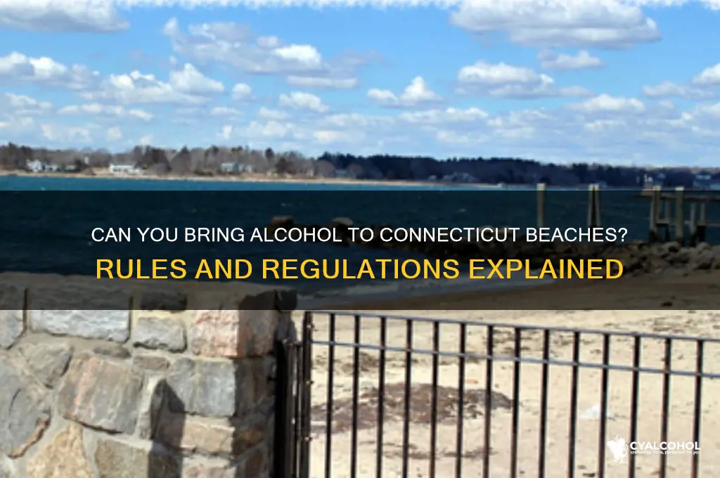 is alcohol allowed on ct beache