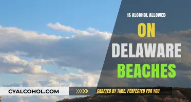 Delaware Beaches and Alcohol: What Are the Rules for Visitors?