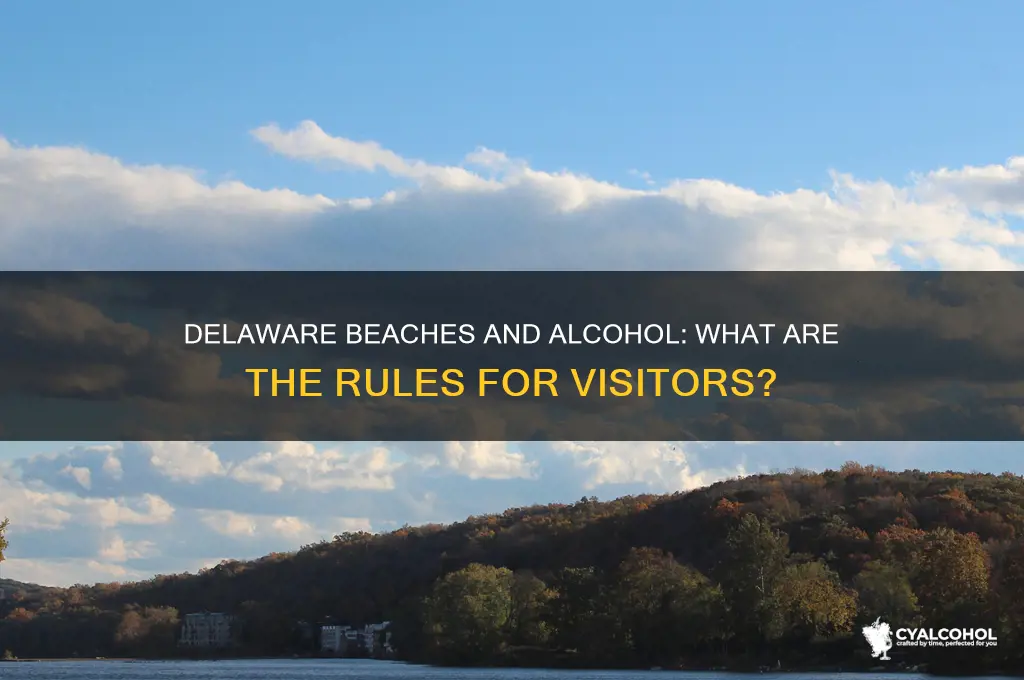 is alcohol allowed on delaware beaches
