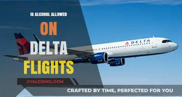 Can You Bring Alcohol on Delta Flights? Rules and Guidelines
